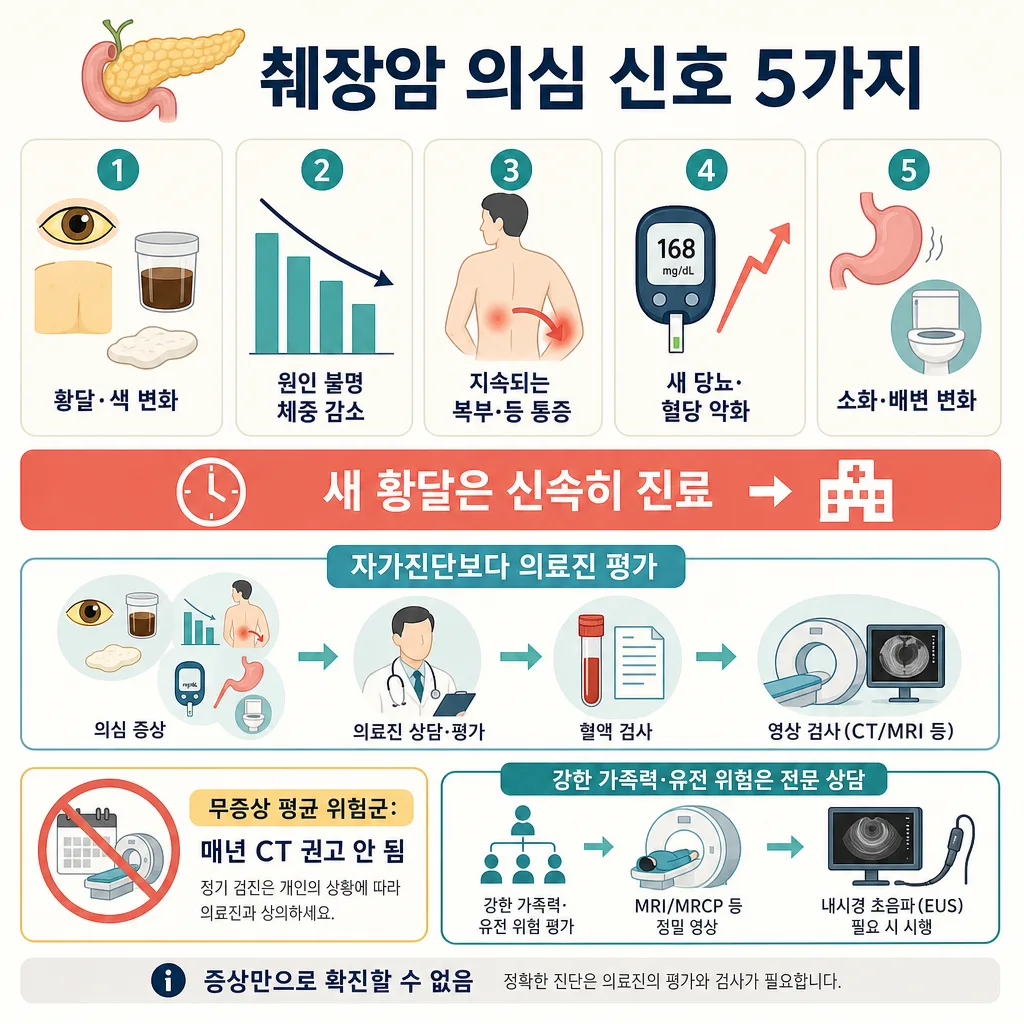 황달, 체중 감소, 복부·등 통증, 혈당 악화, 소화·배변 변화를 보여주는 췌장암 신호 안내