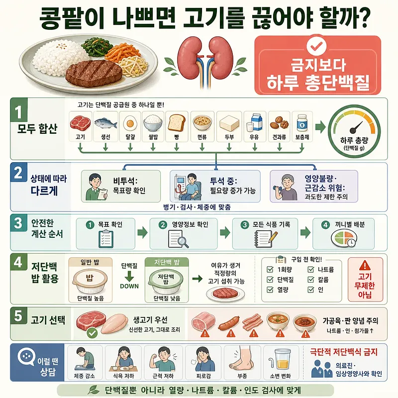 밥과 고기 반찬, 콩팥 그림과 함께 신장 상태별 단백질 섭취법을 설명하는 인포그래픽