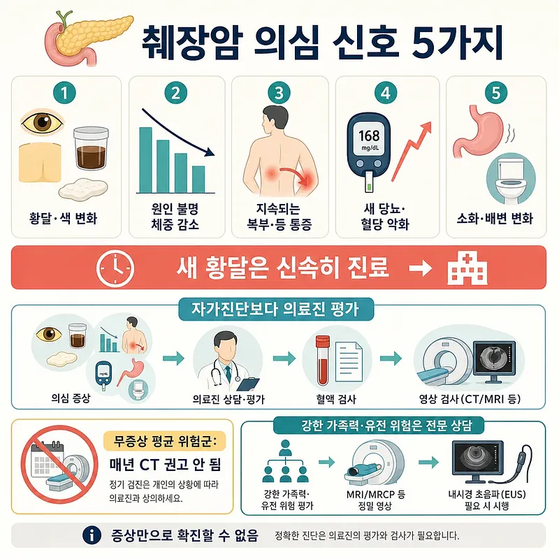 황달, 체중 감소, 복부·등 통증, 혈당 악화, 소화·배변 변화를 보여주는 췌장암 신호 안내