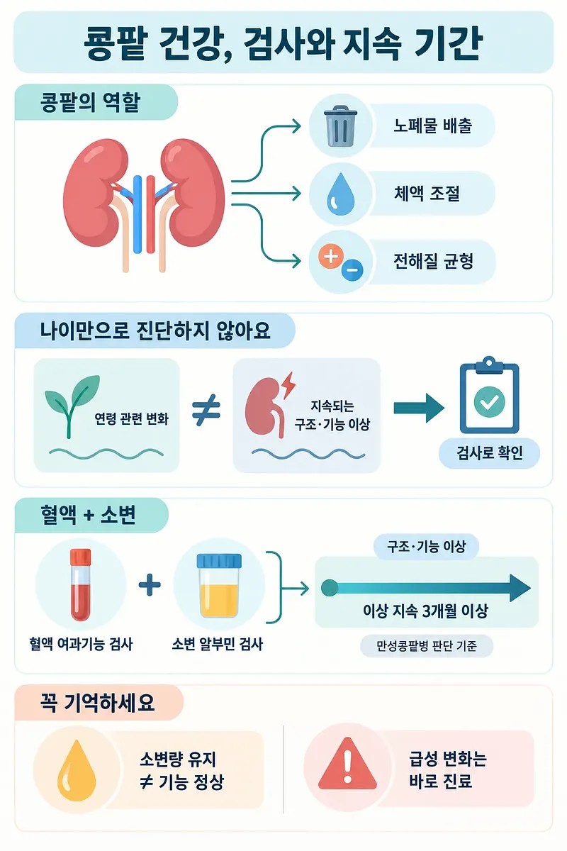 腎臓の役割、血液・尿検査、3カ月以上の持続基準を説明する健康インフォグラフィック