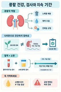 콩팥의 역할과 혈액·소변 검사, 3개월 이상 지속 기준을 설명하는 건강 인포그래픽