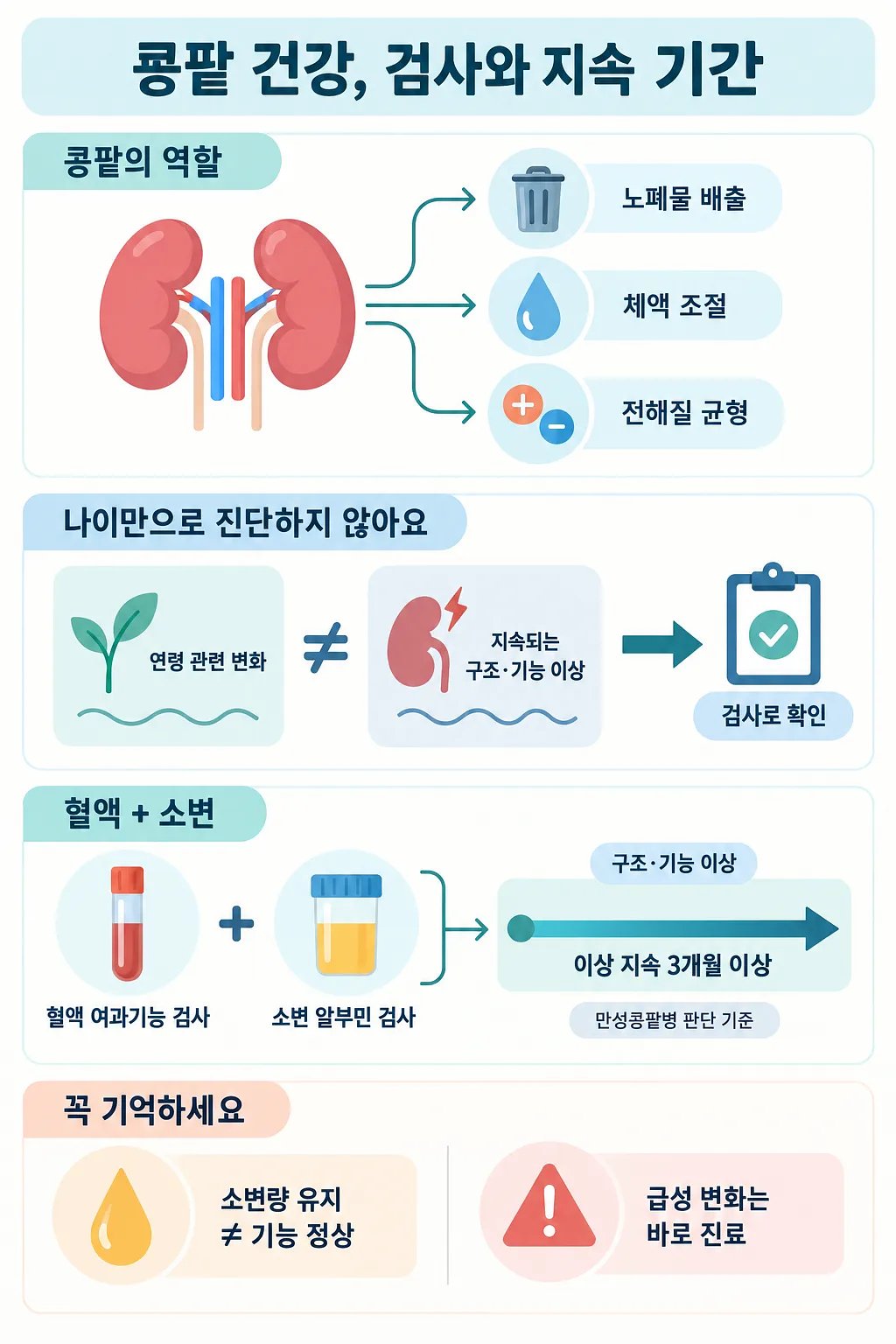 콩팥의 역할과 혈액·소변 검사, 3개월 이상 지속 기준을 설명하는 건강 인포그래픽