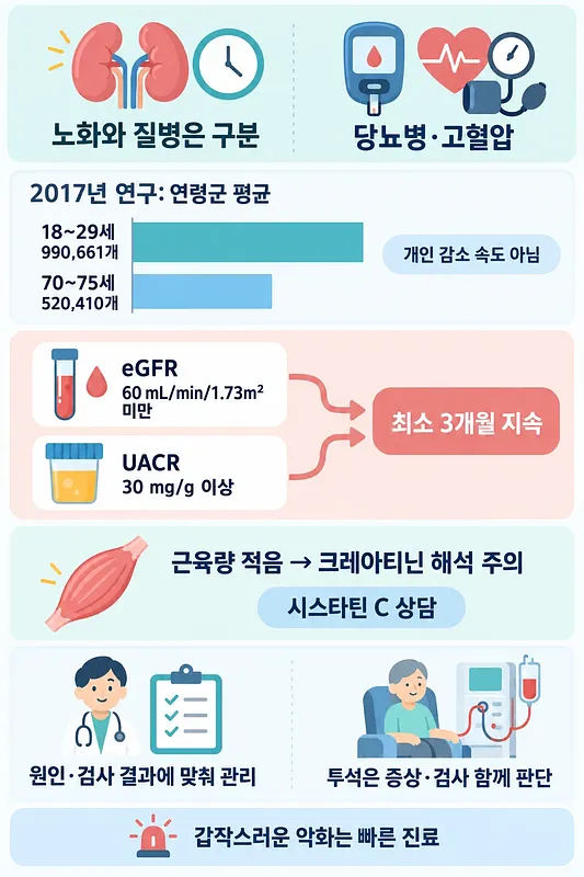 노화와 질병, 연령별 네프론 평균, 혈액·소변 검사 기준과 투석 판단을 정리한 콩팥 건강 인포그래픽
