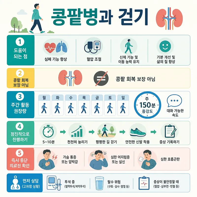 콩팥병 환자의 걷기 효과, 주 150분 권장량, 단계별 운동법과 중단 신호를 정리한 안내문
