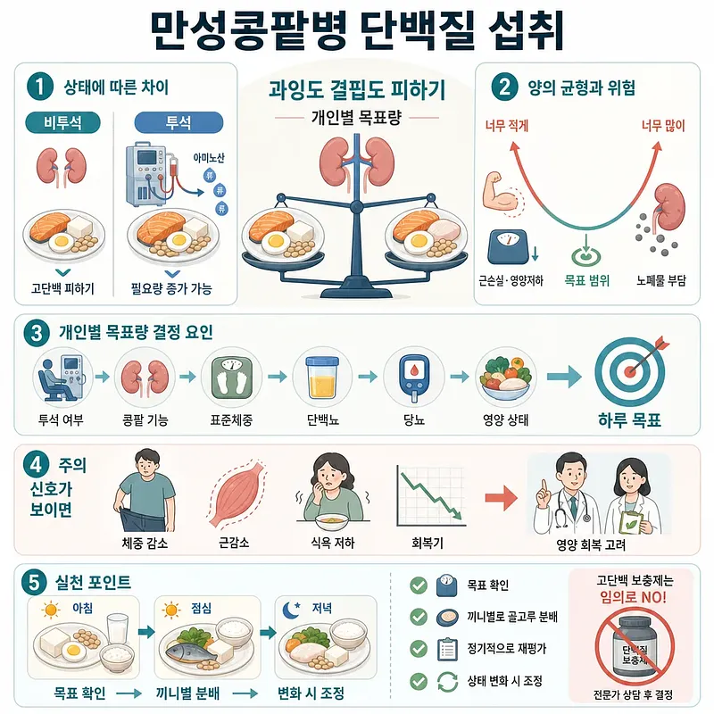만성콩팥병의 단백질 섭취 균형, 개인별 목표량, 주의 신호와 실천법을 정리한 인포그래픽